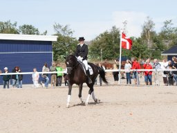 IMG_8012_web